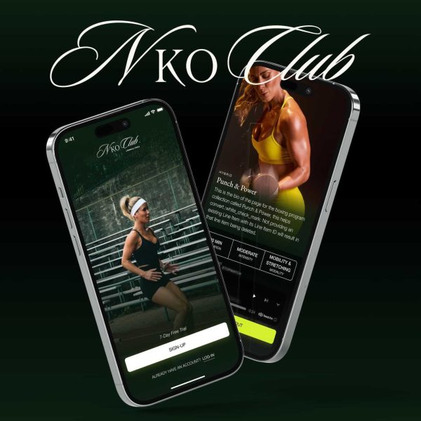 PixelForce Case Study Nko slide