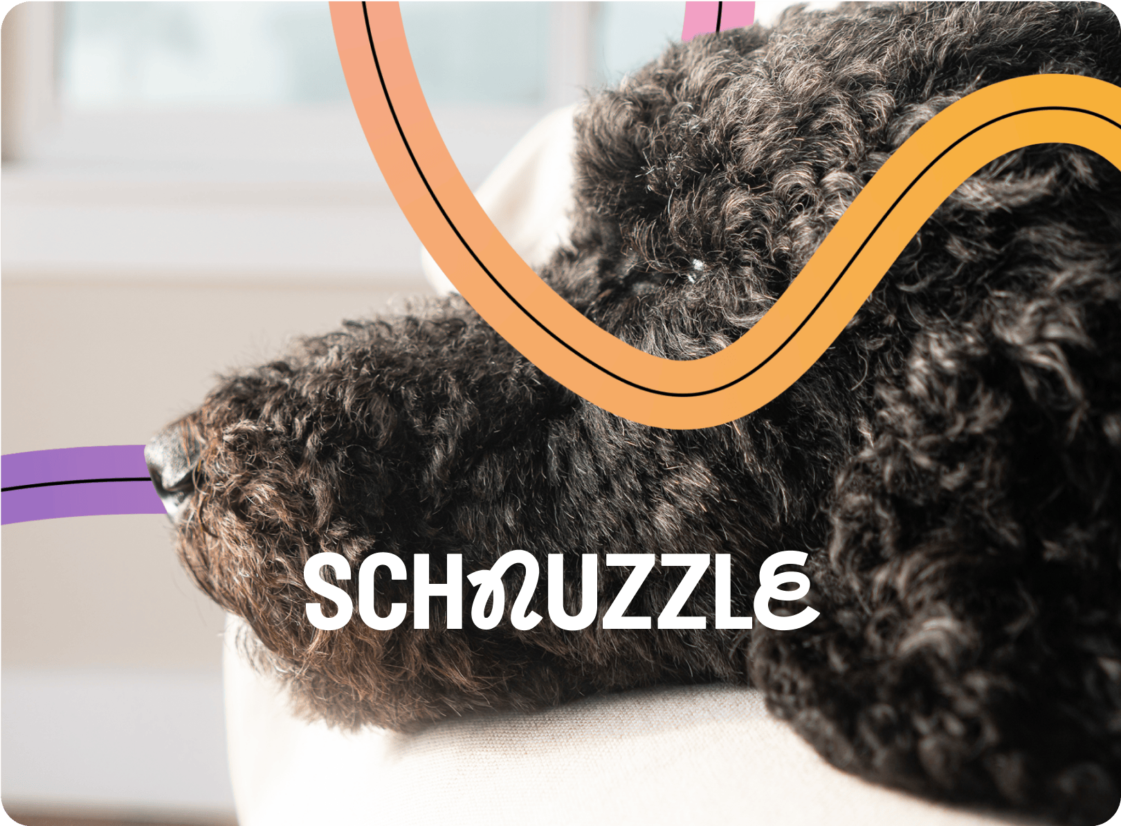 Device schnuzzle