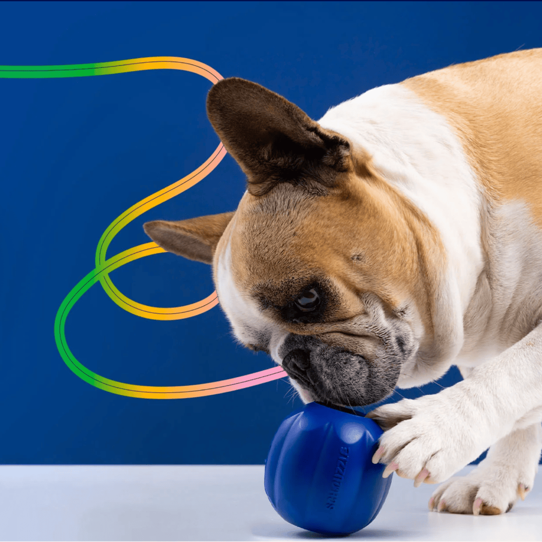 Schnuzzle Shopify store built by PixelForce