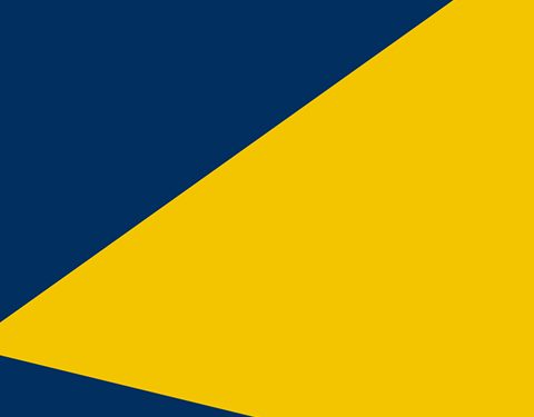 Gallery 5 suspect ED