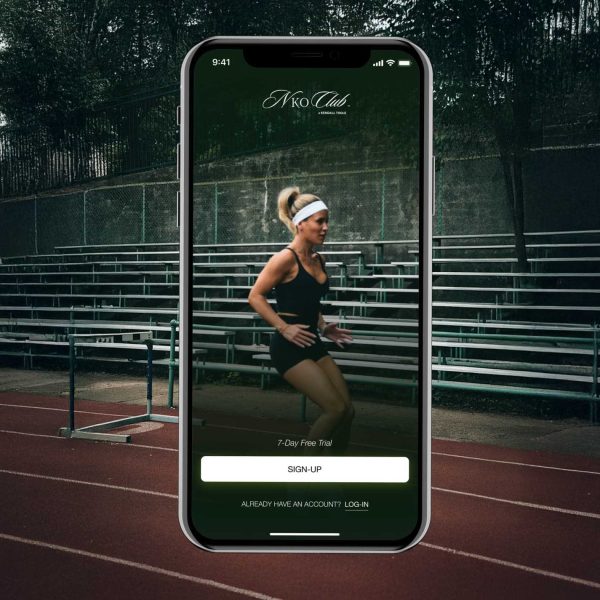 PixelForce Case Study Nko slide